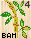 Bamboo