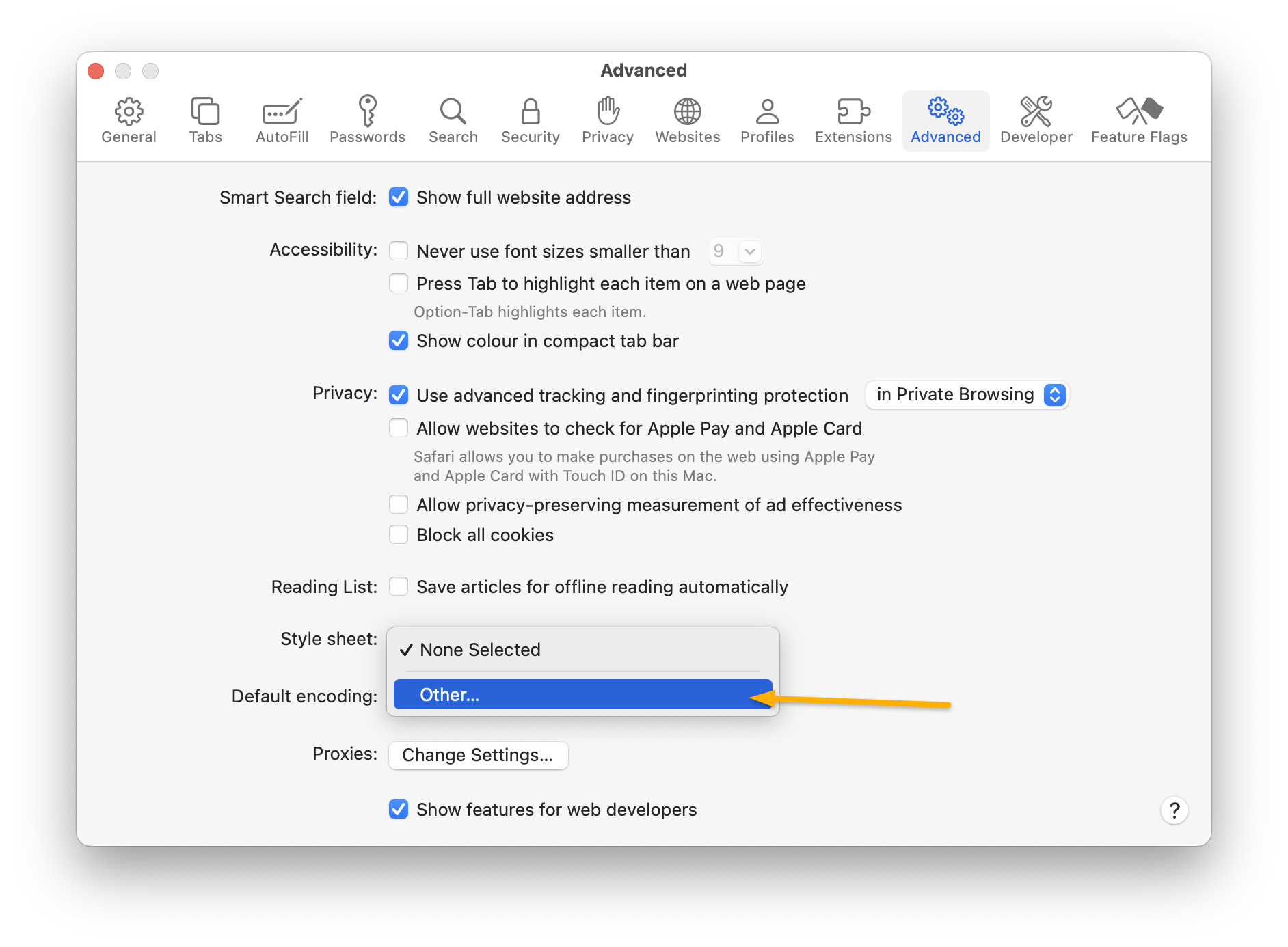 Safari Preferences, Advanced tab