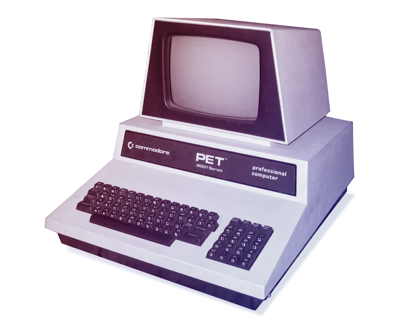 Series 2001-N Professional Computer